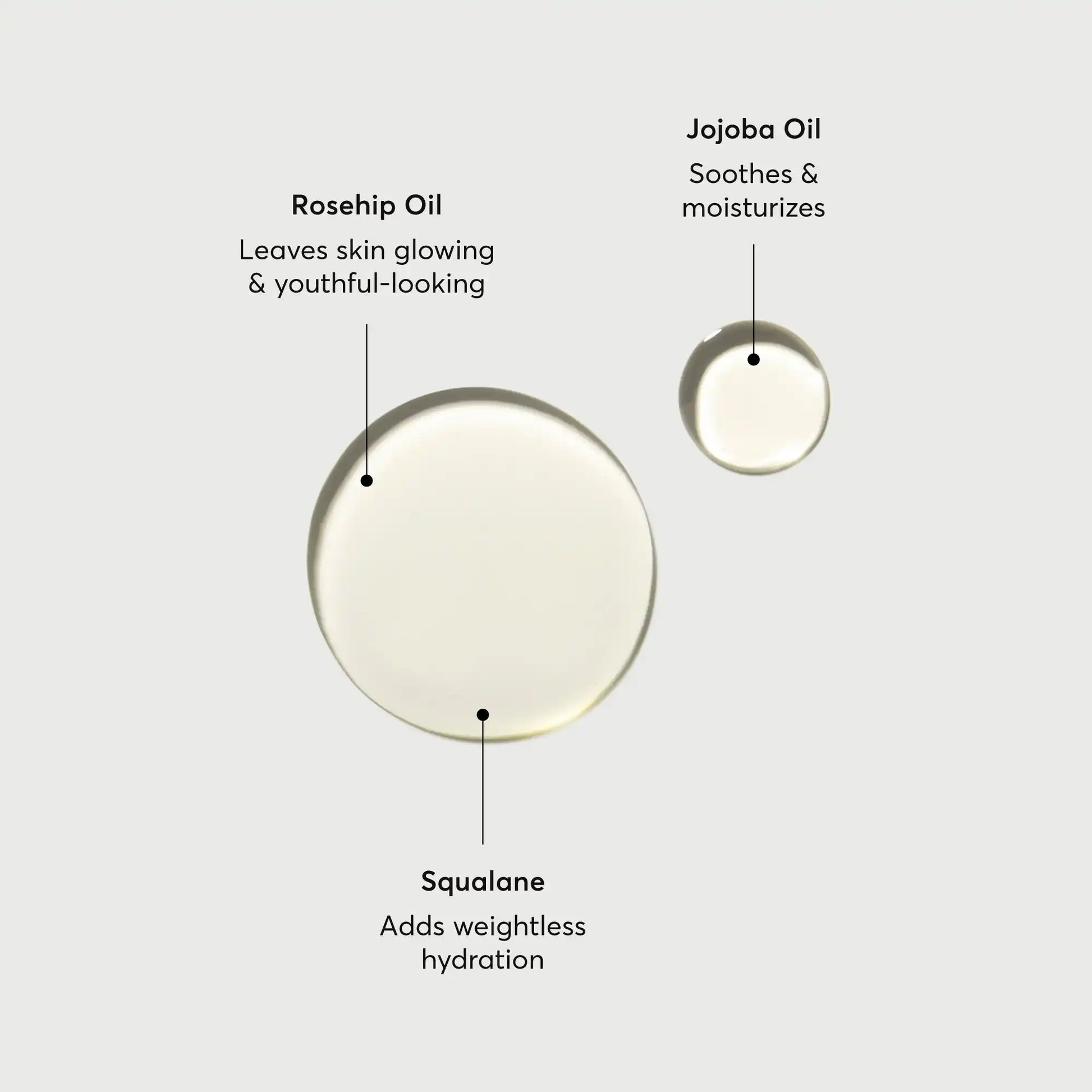the-glow-getter-body-oil-j6 NATR-10115-Alt-Images-The-Glow-Getter-Body-Oil-01.webp